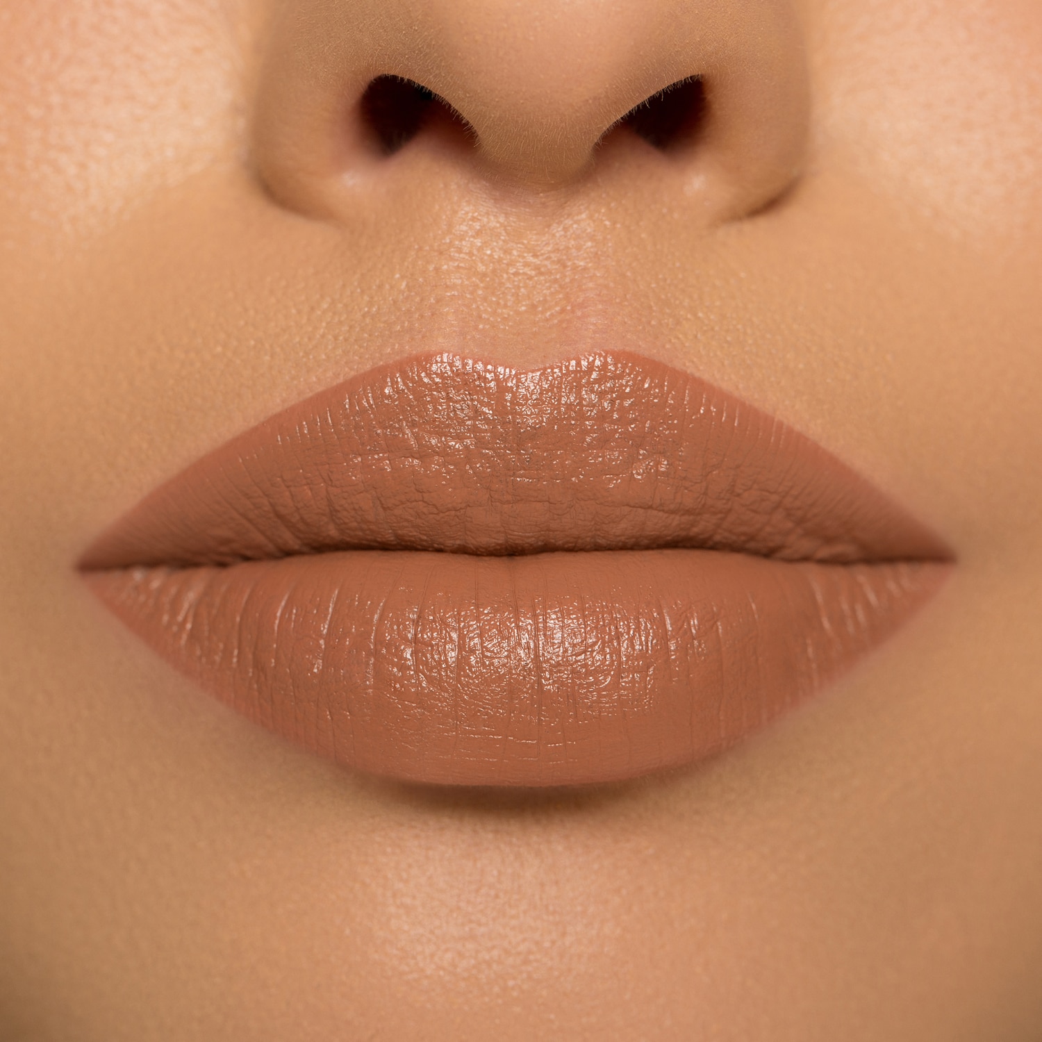 I NEED A NUDE LIPSTICK- (PERFILADOR DE LABIOS)